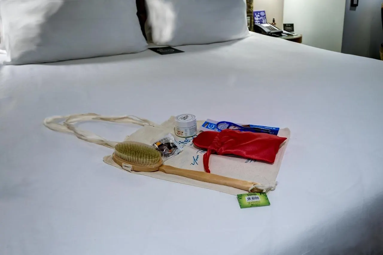 Hotel The Artisan Istanbul Mgallery